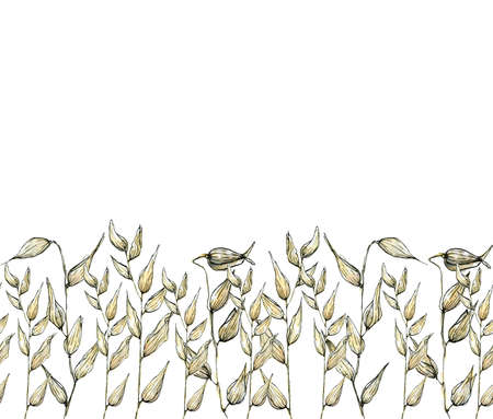 Watercolor illustration of delicate pastel, beige ray border in sketch style, with copyspace, isolated on a white background. Decorative horizontal elegant stripes of dried cereals for invitations, cards, greetings, other design.の写真素材