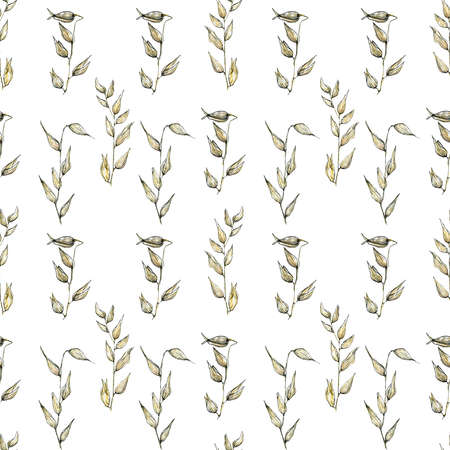 Watercolor seamless pattern with hand drawn pastel dry brunches of wheat (rye) on white background. Illustration in the sketch style. Perfect for wrappers, wallpapers, postcards, greeting cards, events.の写真素材