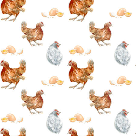 Hand drawn watercolor seamless pattern of chickens and eggs. Cottage style village animals. Farm digital paper isolated on white background. Country clipart in a realistic manner.の写真素材