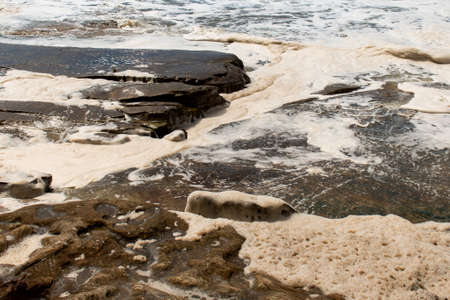 Ocean storm aftermath: A mass of thick foam covered the rocks following extreme storm weather at Cronulla, NSW, Australiaの写真素材