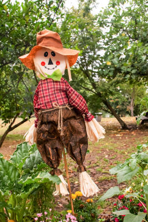 Cute scarecrow wearing hat stands in the garden. Selective focusの写真素材