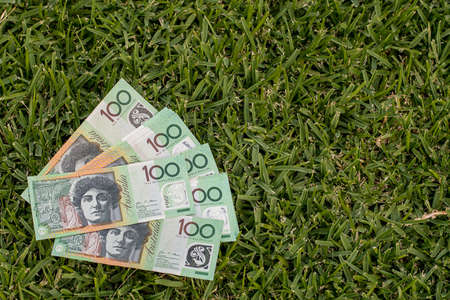 Australian dollars 100 banknotes on green grass background. Finance and payment concept.