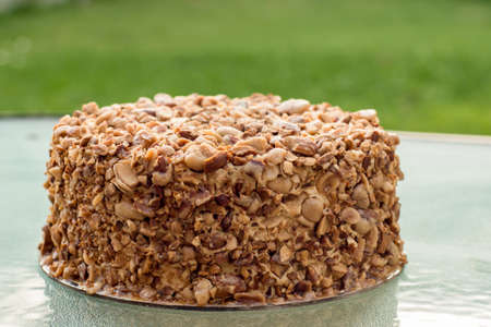 Beatiful nut biscuit cake finished with crushed sugar-coated candied caramelized almonds on a table.の写真素材