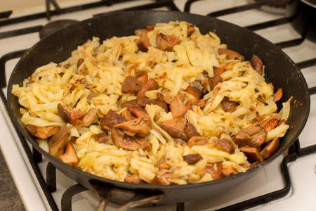 Fall season. Mushroom hunt. Saffron milk caps aka red pine mushrooms aka Lactarius deliciosus frying in a frying pan with brown onion and potatoes.の写真素材