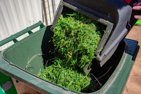 Green bin container filled with mowed grass. Lawn mower basket emptying into the bin. Spring clean up in the garden. Recycling garbage for a better environment.の写真素材