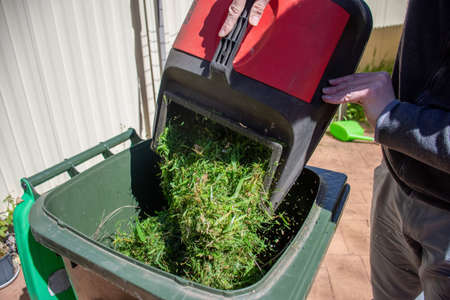 Green bin container filled with mowed grass. Lawn mower basket emptying into the bin. Spring clean...