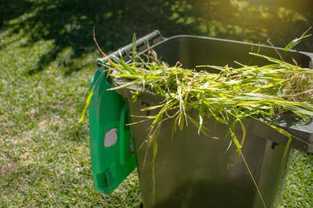 Green bin container filled with garden waste. Spring clean up in the garden. Council bin collection. Recycling garbage for a better environment.の写真素材