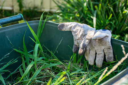 Green bin container filled with garden waste. Dirty gardening gloves. Spring clean up in the garden. Recycling garbage for a better environmentの写真素材