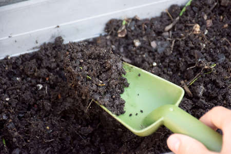 Hand holding green trowel with soil from the plant tray . Selective focus on soil. Gardening conceptの写真素材