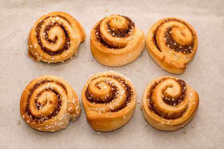 Freshly baked cinnamon buns rolls on a tray lined with baking parchment paper. Baking at homeの写真素材