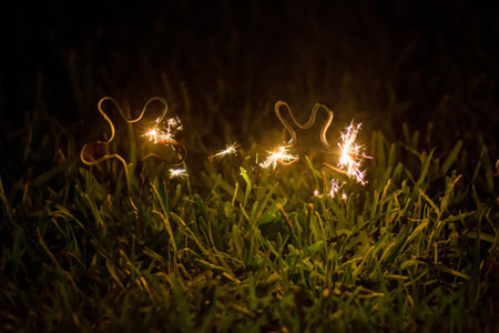 Sparkles in the grass at night. Celebration concept. Happy New Yearの写真素材