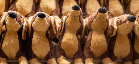 A lot of fluffy dogs plush soft toys piled togetherの写真素材