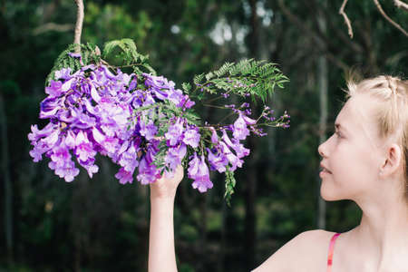 Jacaranda tree in a full bloom with beautiful purple flowersの写真素材