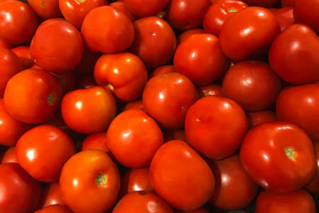 Fresh ripe tomatoes piled on the market. Food backgroumd. Harvest conceptの写真素材