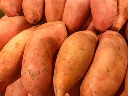 Fresh sweet potato piled on the market. Good background. Harvest conceptの写真素材