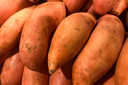 Fresh sweet potato piled on the market. Good background. Harvest conceptの写真素材