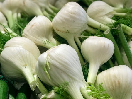 Fresh fennel bulbs piled on the market. Food background. Harvest. Healthy eating. Vegan and vegetarianの写真素材