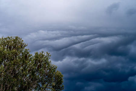 The storm is coming. Storm clouds above the tree. Heavy torrential rain. Rainfall flash flooding ....