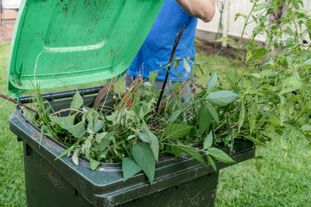 Green bin container filled with garden waste. Spring clean up. Gardening Recycling garbage for a better environment.の写真素材