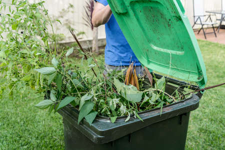 Green bin container filled with garden waste. Spring clean up. Gardening Recycling garbage for a better environment.の写真素材