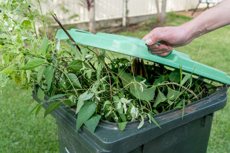 Green bin container filled with garden waste. Spring clean up. Gardening Recycling garbage for a...