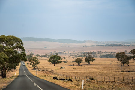 Straight open road surrounded by farms and fields in Australia. road trip travel conceptの写真素材