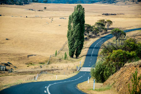 Winding open empty road surrounded by farms and fields in Australia. Road trip travel conceptの写真素材