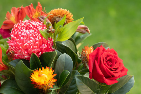Beautiful red orange bouquet with roses. aster, peruvian lillies, dwarf everlast on green grass background. Gift present celebrationの写真素材