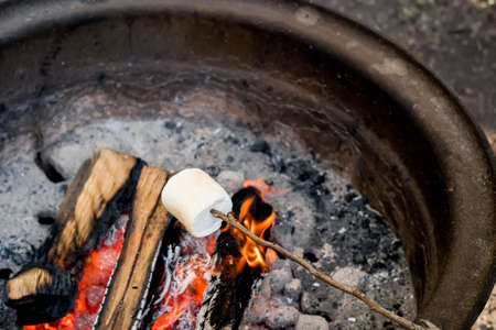 Roasting large marshmallow on a wooden stick over the campfire firepit. Camping family funの写真素材
