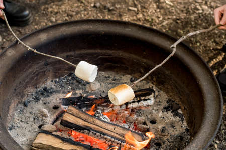 Roasting large marshmallows on a wooden stick over the campfire firepit. Camping family funの写真素材