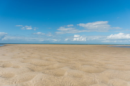 Low tide seabed ocean floor bottom exposed beautiful textured sand dunes. Nature background. Theodolite creek at Woodgate beach, Queensland, Australiaの写真素材