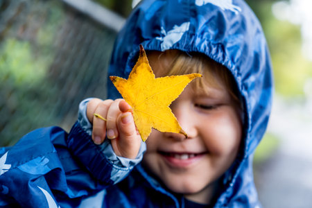 Happy cute caucasian little toddler boy preschooler wearing blue raincoat jacket holding yellow maple leaf on a rainy autumn day. Fall season family walk on the street in the parkの写真素材
