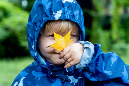 Happy cute caucasian little toddler boy preschooler wearing blue raincoat jacket holding yellow maple leaf on a rainy autumn day. Fall season family walk on the street in the parkの写真素材