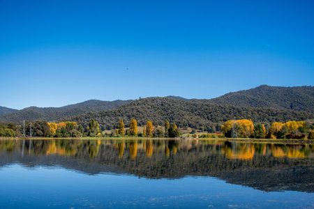 Beautiful pondage and reflections at Mount Beauty, Victoria, Australia. The Regulating Pondage is part of the Kiewa Hydroelectric Scheme. The town of Mount Beauty nestled at the foot of Mount Bogongの写真素材