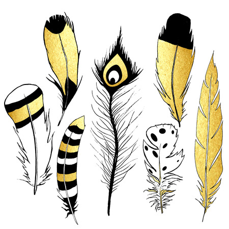 Hand drawn gold feathers collection. Golden metallic design elements. Vector illustration.のイラスト素材
