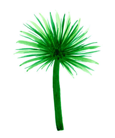 Green palm leaf. Watercolor hand drawn illustration. Print for wedding stationary, greetings, wallpapers, fashionの写真素材