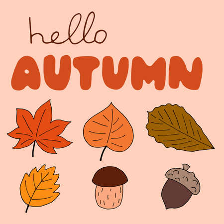 Autumn lettering, vector illustration. Hand drawn calligraphy composition with mushroom and orange leaves. Fall card, hello autumn. Typography, lettering, handwritten phrase for cards, banner, posterのイラスト素材