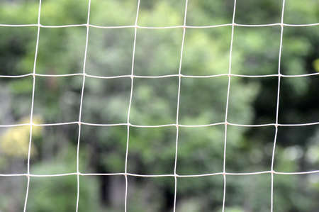 Volleyball net and green forest, abstract photo background. Concept of sports and active recreation....