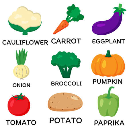 Set of vector vegetables. Cartoon flat style. Cauliflower, carrot, eggplant, onion, broccoli, pumpkin, tomato, potato, paprika. Print for recipes, restaurant, supermarket, market place. Vegan food.のイラスト素材