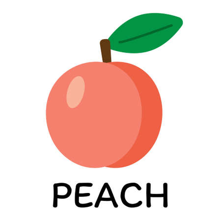 Pink peach, vector illustration in cartoon flat stye. Food and fruit concept. Print for recipes, restaurant, supermarket, market place. Vegetarian fresh food product for sticker, grocery shopのイラスト素材