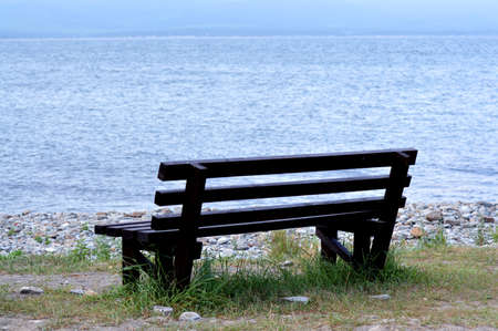 Brown wooden bench in the park. Summer sunny day. Green grass and trees. Resting and relaxing area. Empty bench for sitting. Wood exterior material. Beautiful bench near sea or lake.の写真素材