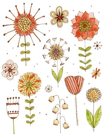Magical pattern with flowers and leaves.の写真素材