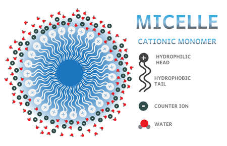 Cationic micelle infographics - layer of charged monomers, counter ions and water molecules.のイラスト素材