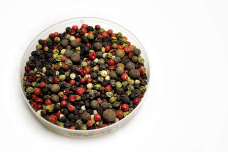 Herbs and seasonings. Mixed peppercorns in a transparent dish isolated on white background.の写真素材
