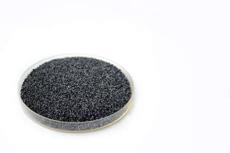Herbs and seasonings. Poppy seeds in a transparent dish isolated on white background.の写真素材