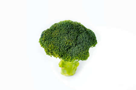 One broccoli branch isolated on white background.の写真素材