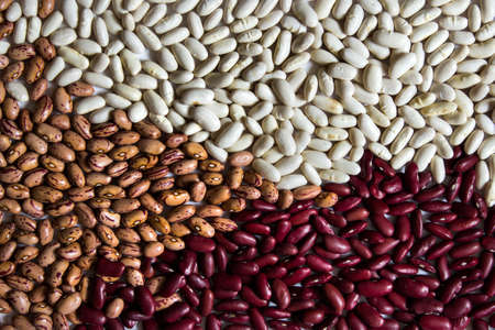 Different beans - small white kiney beans, red kidney beans, cranberry brown type beans.の写真素材