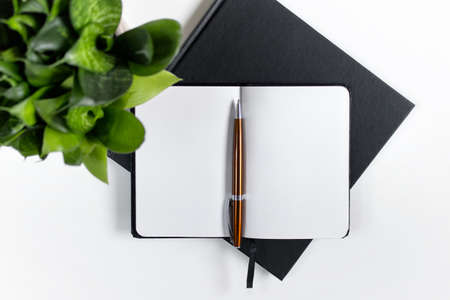 Opened copybook and green plant with orange metallic pen on a white background. の写真素材