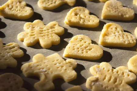 Golden home made cookies ready to bake on the baking paper.の写真素材