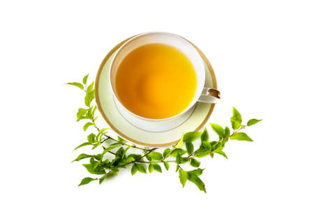 Cup of green tea decorated with branches with green leaves isolated on white background.の写真素材